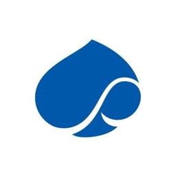 Capgemini